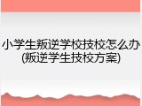 小学生叛逆学校技校怎么办(叛逆学生技校方案)