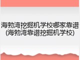 海勃湾挖掘机学校哪家靠谱(海勃湾靠谱挖掘机学校)