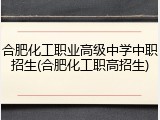 合肥化工职业高级中学中职招生(合肥化工职高招生)