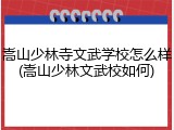 嵩山少林寺文武学校怎么样(嵩山少林文武校如何)