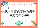 合肥小学寄宿学校有哪些(合肥寄宿小学)