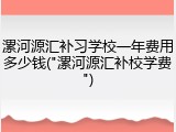 漯河源汇补习学校一年费用多少钱("漯河源汇补校学费")