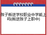 孩子叛逆学校职业中学能上吗(叛逆孩子上职中)