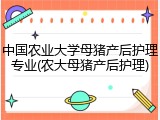 中国农业大学母猪产后护理专业(农大母猪产后护理)