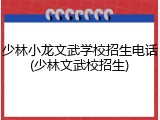 少林小龙文武学校招生电话(少林文武校招生)