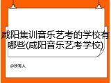 咸阳集训音乐艺考的学校有哪些(咸阳音乐艺考学校)