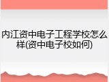 内江资中电子工程学校怎么样(资中电子校如何)
