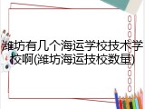 潍坊有几个海运学校技术学校啊(潍坊海运技校数量)