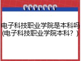 电子科技职业学院是本科吗(电子科技职业学院本科？)