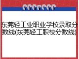 东莞轻工业职业学校录取分数线(东莞轻工职校分数线)