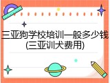 三亚狗学校培训一般多少钱(三亚训犬费用)