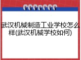 武汉机械制造工业学校怎么样(武汉机械学校如何)