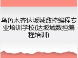 乌鲁木齐达坂城数控编程专业培训学校(达坂城数控编程培训)