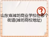 山东省潍坊商业学校在哪个街道(潍坊商校地址)