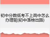 初中分数低考不上高中怎么办理呢(初中落榜出路)