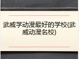 武威学动漫最好的学校(武威动漫名校)