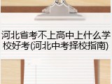 河北省考不上高中上什么学校好考(河北中考择校指南)