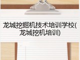 龙城挖掘机技术培训学校(龙城挖机培训)