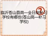 临沂苍山县高一全日制补习学校有哪些(苍山高一补习学校)