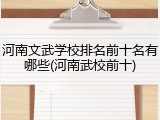 河南文武学校排名前十名有哪些(河南武校前十)