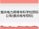 重庆电力高等专科学校招标公告(重庆电专招标)