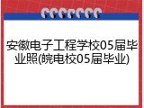 安徽电子工程学校05届毕业照(皖电校05届毕业)