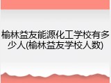 榆林益友能源化工学校有多少人(榆林益友学校人数)
