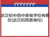武汉初中高中寄宿学校有哪些(武汉初高寄宿校)