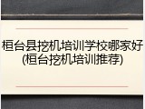 桓台县挖机培训学校哪家好(桓台挖机培训推荐)