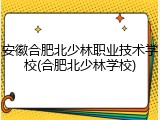 安徽合肥北少林职业技术学校(合肥北少林学校)