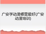 广安学动漫哪里最好(广安动漫培训)