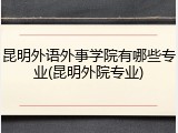 昆明外语外事学院有哪些专业(昆明外院专业)