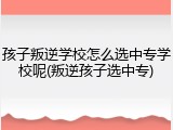 孩子叛逆学校怎么选中专学校呢(叛逆孩子选中专)