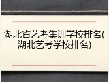 湖北省艺考集训学校排名(湖北艺考学校排名)