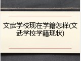 文武学校现在学籍怎样(文武学校学籍现状)
