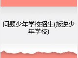 问题少年学校招生(叛逆少年学校)