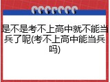 是不是考不上高中就不能当兵了呢(考不上高中能当兵吗)