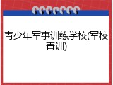 青少年军事训练学校(军校青训)