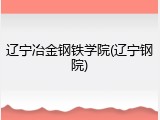 辽宁冶金钢铁学院(辽宁钢院)