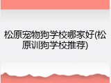 松原宠物狗学校哪家好(松原训狗学校推荐)