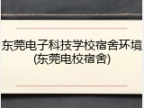 东莞电子科技学校宿舍环境(东莞电校宿舍)