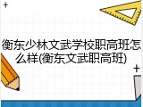 衡东少林文武学校职高班怎么样(衡东文武职高班)