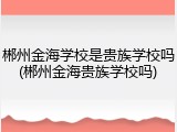 郴州金海学校是贵族学校吗(郴州金海贵族学校吗)