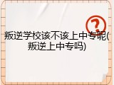 叛逆学校该不该上中专呢(叛逆上中专吗)
