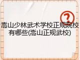 嵩山少林武术学校正规院校有哪些(嵩山正规武校)