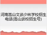 河南嵩山文武少林学校招生电话(嵩山武校招生号)
