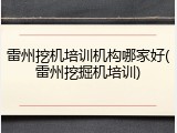 雷州挖机培训机构哪家好(雷州挖掘机培训)