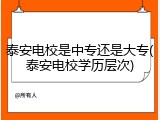 泰安电校是中专还是大专(泰安电校学历层次)