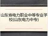 山东省电力职业中等专业学校(山东电力中专)