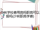 少林学校费用高吗职高可以报吗(少林职高学费)